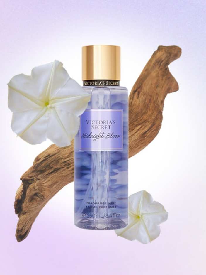 Midnight Bloom-1 (2)